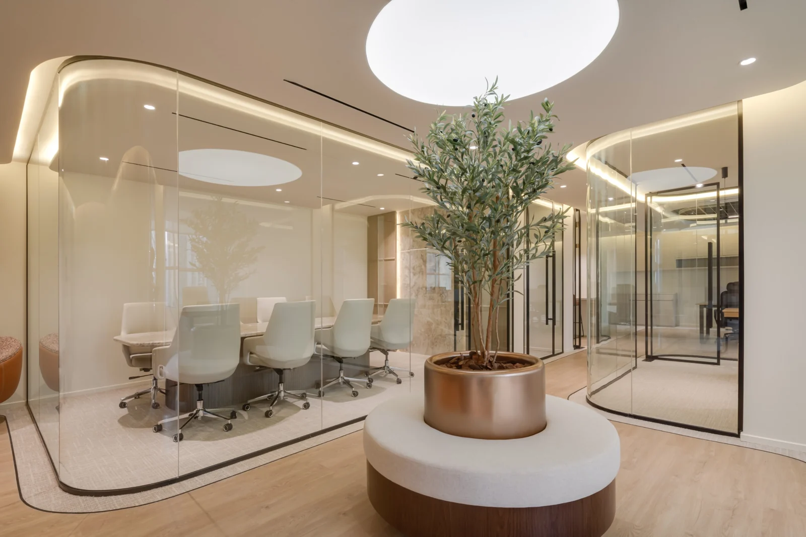 An olive tree rises from a copper planter within a circular banquette, beside the curved glass meeting room.
